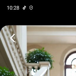 �������, ����������, 56 ���