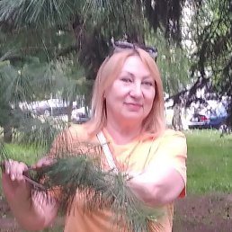 ���� �����, ������, 65 ��� - ��������� 6 ���� 2026