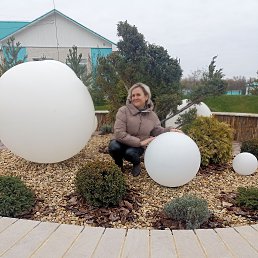 ���� �������, ����, 43 ���� - ��������� 7 ������� 2026