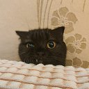 ���� �����, ��������, 54 ���� - ��������� 9 ������ 2024 � ������ ���� ����������
