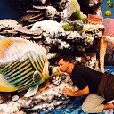 ���� �������, �����������, 48 ��� - ��������� 2 ������ 2026 � ������ ���� ����������