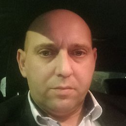 Tudor, �������, 42 ����