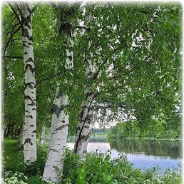 ���� �������, ��������� - ��������� 13 ���� 2025