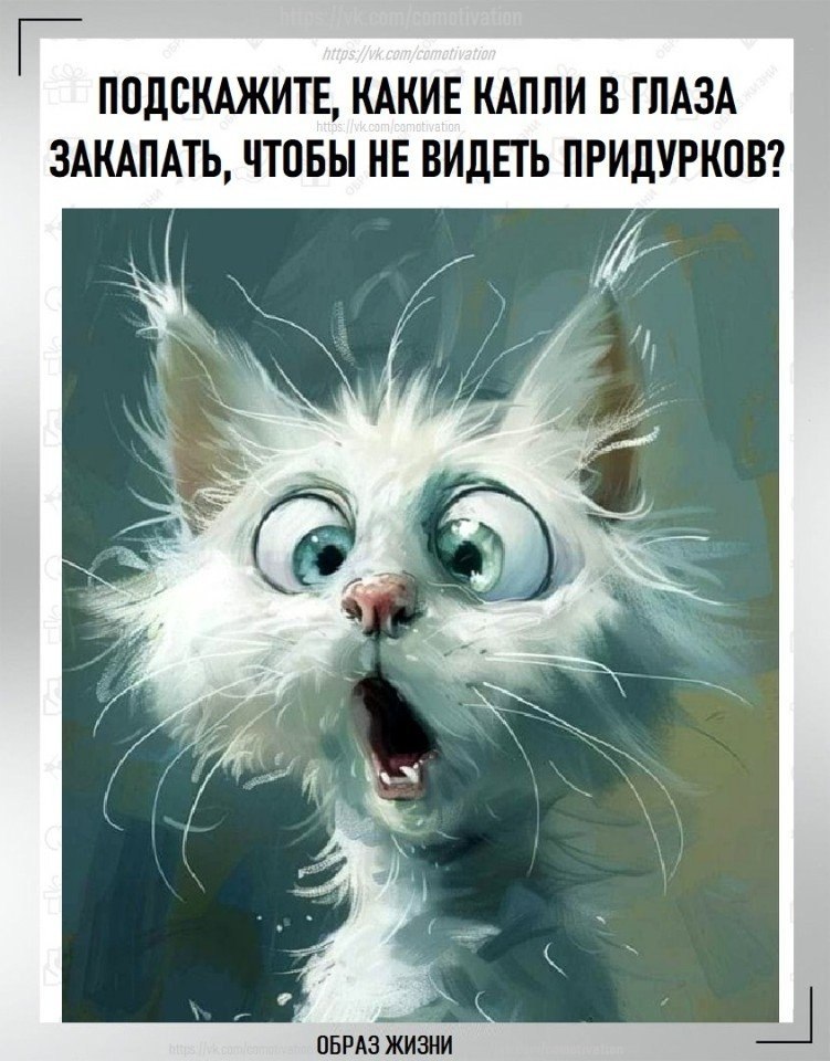 ����� ����� �����. ������� ���� ��� �� ��������.