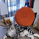 ���� �����, �����-���������, 61 ��� - ��������� 13 ������ 2025 � ������ ������ ��������