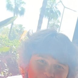 �������, ����������, 51 ���