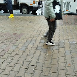 ����, ����-���������, 52 ����