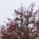 ���� �������, ���������, 52 ���� - ��������� 18 ������ 2025 � ������ ������ ��������