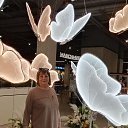 ���� ���, ����, 62 ���� - ��������� 6 ��� 2026 � ������ ���� ����������