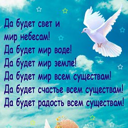 Keli, ������, 43 ����