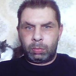 ����, ������, 53 ����