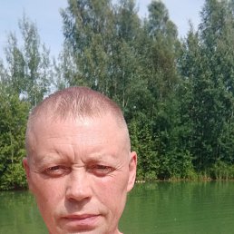  , 51 , 
