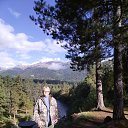 ���� �����, ������������, 54 ���� - ��������� 14 ������ 2026