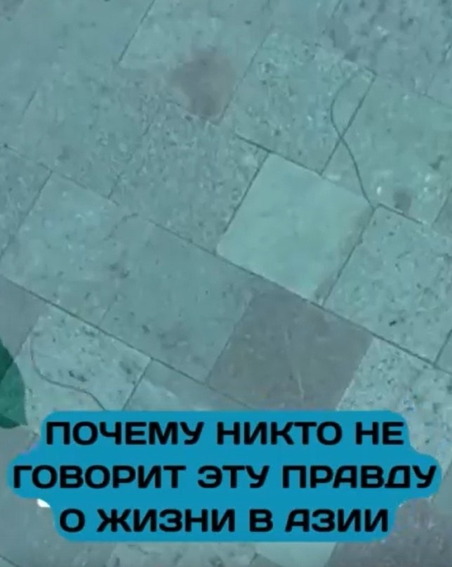 Бали — рай или ад? Насекомые, которые могут испортить отпуск.На Бали можно встретить не только ...