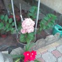 ���� �������, ������, 67 ��� - ��������� 27 ������� 2023 � ������ ���� ����������