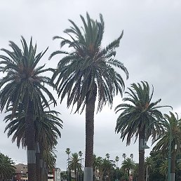 ������, �������, 44 ����