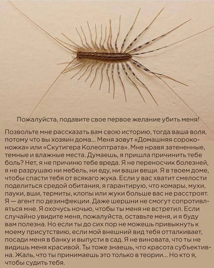 ��� ���� - 9 ������ 2025 � 03:41