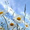 ���� ������, ����������� - ��������� 10 ������� 2026 � ������ ������ ��������