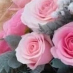 ����, �������