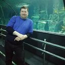 ���� �����, ������, 51 ��� - ��������� 26 ������� 2026 � ������ ���� ����������