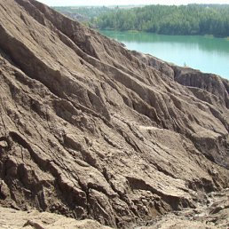 ������, ����, 54 ����