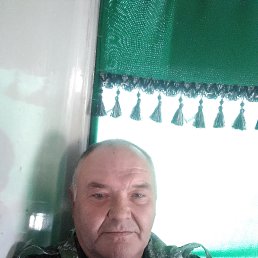 , 51,  
