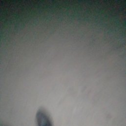 ����, �����, 37 ���