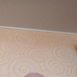 ���������, 74 ����, ������