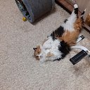 ���� ��� ., �����, 72 ���� - ��������� 25 ���� 2026 � ������ ���� ����������