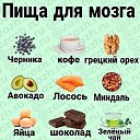 ���� ������, �����-���������, 61 ��� - ��������� 9 ������� 2026 � ������ ������ ��������