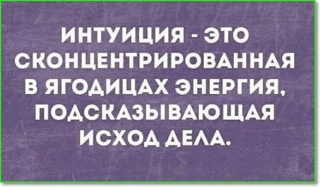 ☆ ☆ - 8  2025  16:18