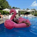���� ���, ������ - ��������� 14 ���� 2026