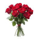 ���� �������, �����, 50 ��� - ��������� 27 ������� 2026 � ������ ���� ����������