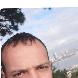 , 41, 