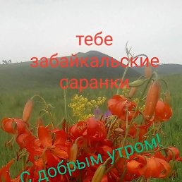 �����, ������, 68 ���
