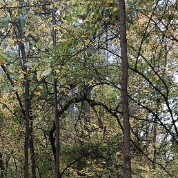 ���� ����, ������, 39 ��� - ��������� 5 ������ 2026