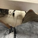 ���� �����, ���������, 29 ��� - ��������� 21 ���� 2024 � ������ ���� ����������