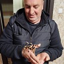 ���� ������, �����������, 51 ��� - ��������� 7 ������ 2025 � ������ ���� ����������
