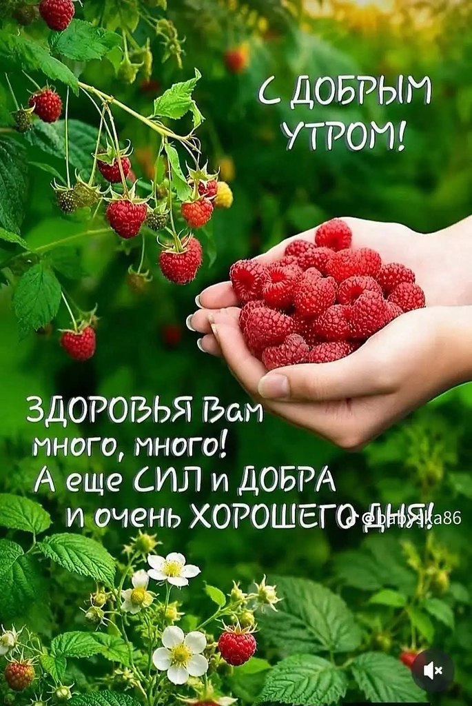 �������� ������ - 3 ���� 2026 � 10:23