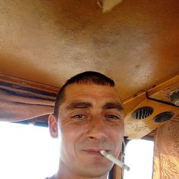 , 32, 