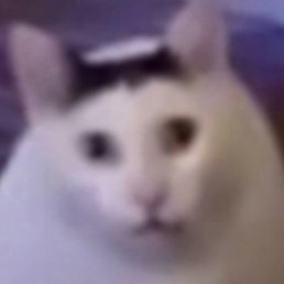 �������, �����, 43 ����