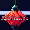 ���� �������, ������, 43 ���� - ��������� 8 ��� 2026 � ������ ������ ��������