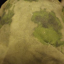 ����, ������, 37 ���