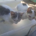 ���� ����, �������, 18 ��� - ��������� 23 ������� 2025 � ������ ���� ����������