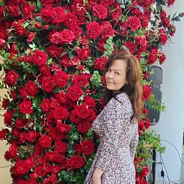 , 51, 