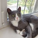 ���� �������, ������, 36 ��� - ��������� 12 �������� 2024 � ������ ���� ����������