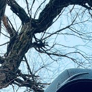 ���������, 28 ���, ������