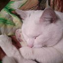  , -, 48  -  27  2023