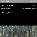  , , 41  -  10  2024