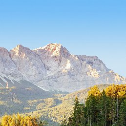 �����, �����������, 42 ����